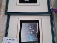 Kader - afbeelding 1 van  1