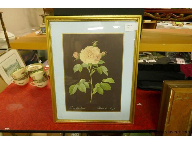 Kader - afbeelding 1 van  1