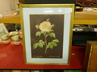 Kader - afbeelding 1 van  1