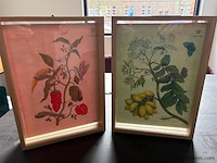 Kader - afbeelding 1 van  1