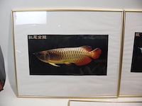 Kaders goudkleurig (x5) - afbeelding 2 van  7