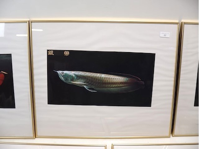 Kaders goudkleurig (x5) - afbeelding 3 van  7