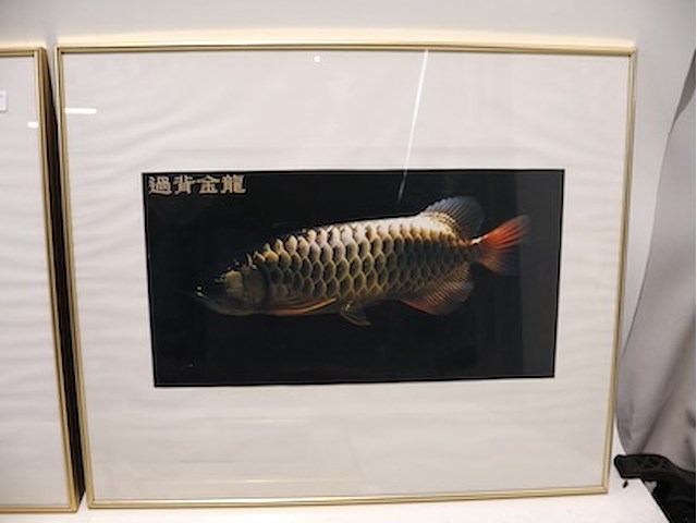 Kaders goudkleurig (x5) - afbeelding 4 van  7