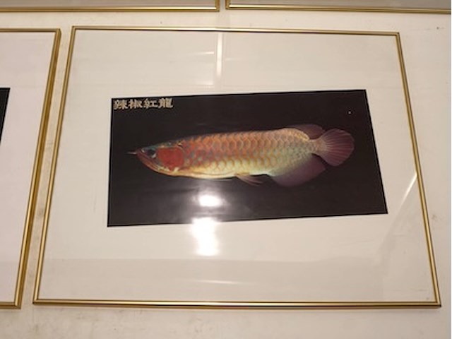 Kaders goudkleurig (x5) - afbeelding 5 van  7