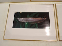 Kaders goudkleurig (x5) - afbeelding 6 van  7