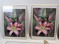 Kaders goudkleurig (x5) - afbeelding 2 van  6