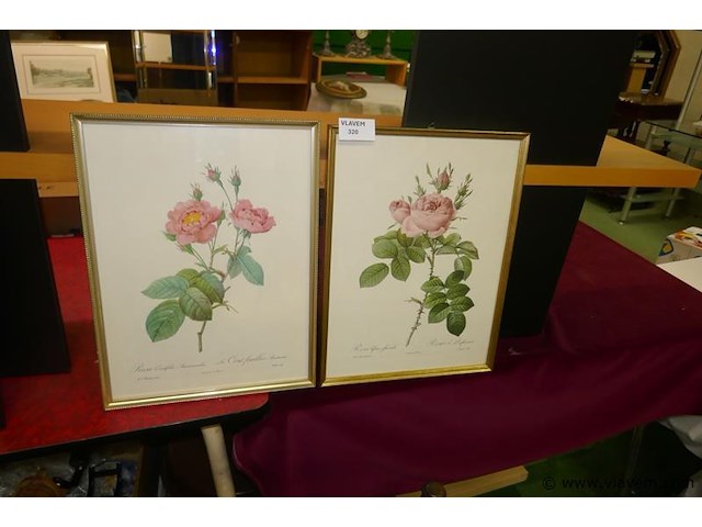 Kaders met bloemen - afbeelding 1 van  1