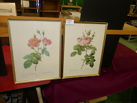 Kaders met bloemen - afbeelding 1 van  1