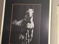 Kaders paarden 2st - afbeelding 1 van  3