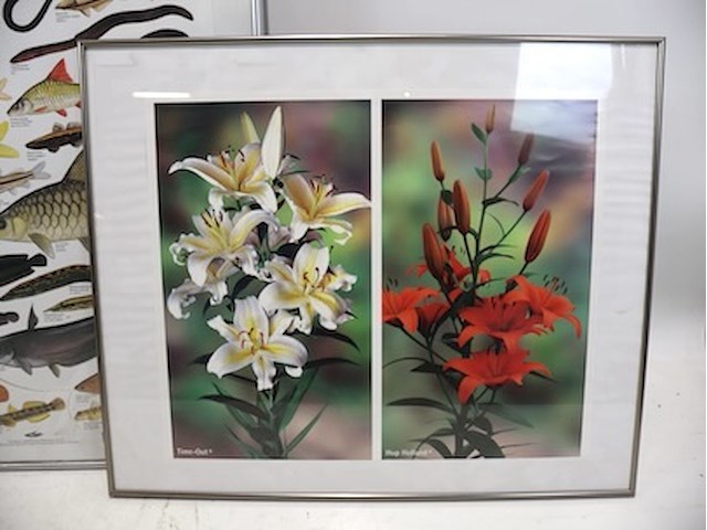 Kaders zilverkleurig (x3) - afbeelding 3 van  7