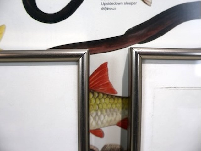 Kaders zilverkleurig (x3) - afbeelding 4 van  7