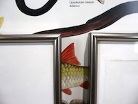 Kaders zilverkleurig (x3) - afbeelding 4 van  7