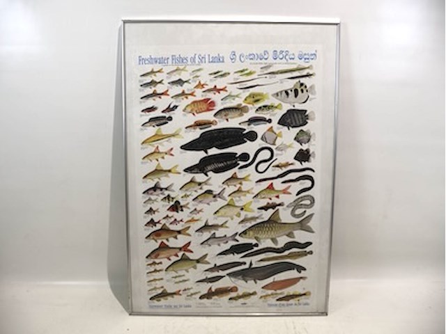 Kaders zilverkleurig (x3) - afbeelding 5 van  7