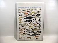 Kaders zilverkleurig (x3) - afbeelding 5 van  7