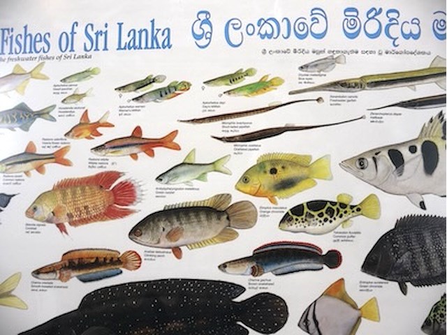 Kaders zilverkleurig (x3) - afbeelding 6 van  7