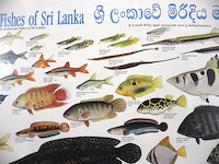 Kaders zilverkleurig (x3) - afbeelding 6 van  7