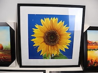 Kaders zwart (x5) - afbeelding 2 van  6