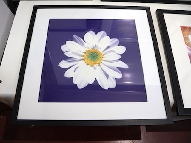 Kaders zwart (x5) - afbeelding 6 van  6