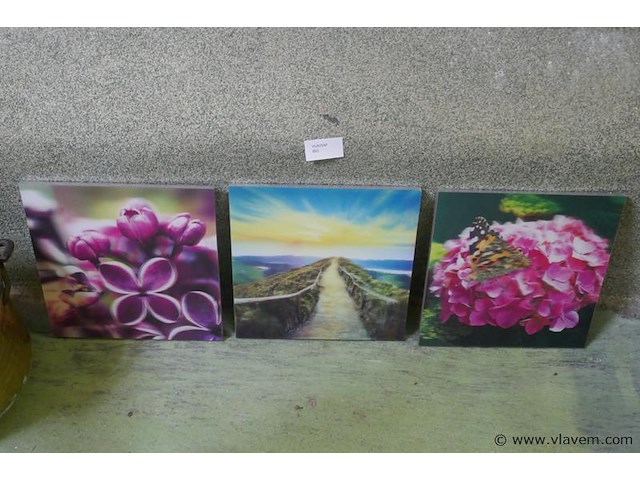 Kaders - afbeelding 1 van  1