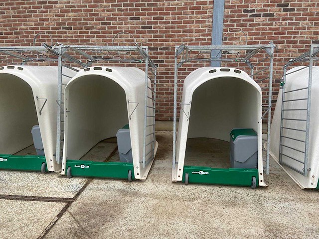 Kalveriglo’s- veeteelt - afbeelding 2 van  3