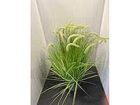 Kamerplant j-line - afbeelding 2 van  2