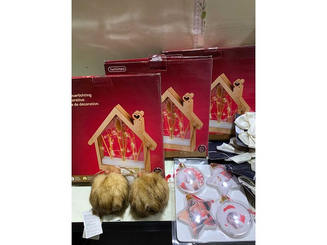 Kamerplant - afbeelding 2 van  4