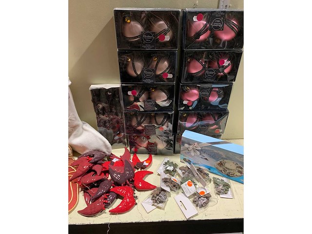 Kamerplant - afbeelding 4 van  4