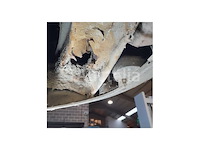 Kangoo lis388 137,183 km 2003 - afbeelding 20 van  20