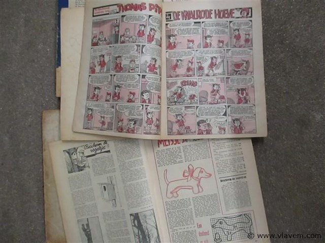 Kapoentje - afbeelding 3 van  3