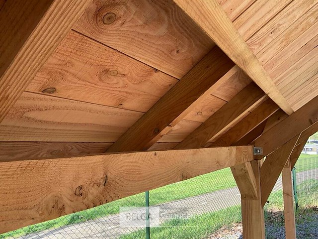 Kapschuur douglas 1220x360x325cm bxdxh in cm - afbeelding 4 van  18