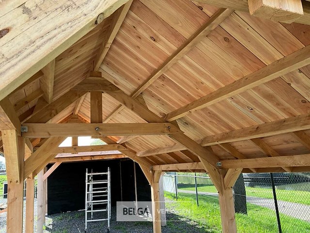 Kapschuur douglas 1220x360x325cm bxdxh in cm - afbeelding 5 van  18