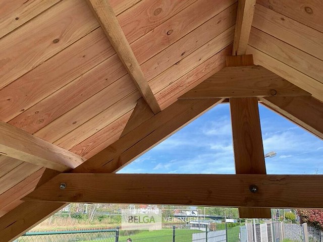 Kapschuur douglas 1220x360x325cm bxdxh in cm - afbeelding 18 van  18