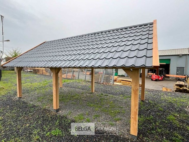 Kapschuur douglas 1220x460x325cm bxdxh in cm - afbeelding 14 van  18