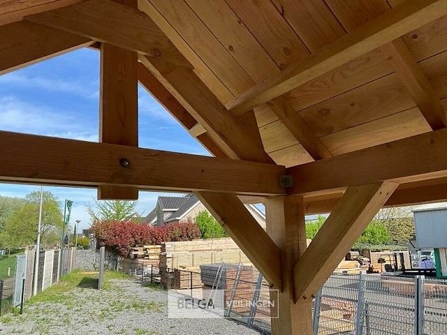 Kapschuur douglas 1220x460x325cm bxdxh in cm - afbeelding 17 van  18