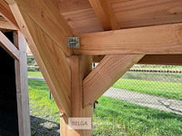 Kapschuur douglas 1550x460x325cm bxdxh in cm - afbeelding 2 van  18