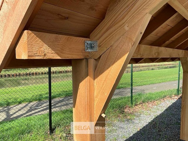 Kapschuur douglas 1550x460x325cm bxdxh in cm - afbeelding 3 van  18