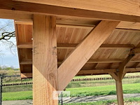 Kapschuur douglas 1550x460x325cm bxdxh in cm - afbeelding 6 van  18