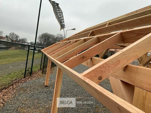 Kapschuur douglas 560x360x325cm bxdxh in cm - afbeelding 5 van  14
