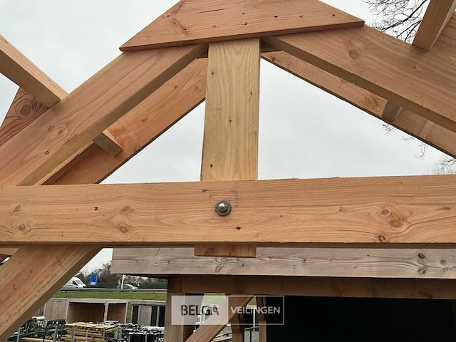 Kapschuur douglas 560x360x325cm bxdxh in cm - afbeelding 12 van  14