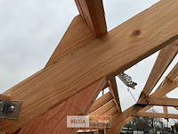 Kapschuur douglas 660x360x325cm bxdxh in cm - afbeelding 4 van  14