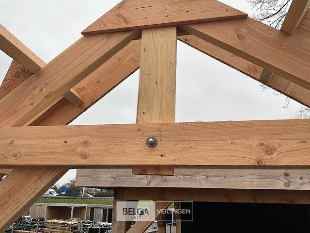 Kapschuur douglas 660x360x325cm bxdxh in cm - afbeelding 12 van  14