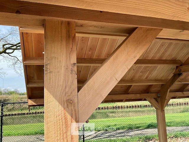 Kapschuur douglas 660x460x325cm bxdxh in cm - afbeelding 6 van  18