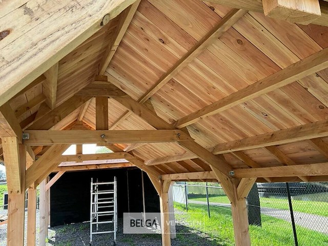 Kapschuur douglas 779x360x325cm bxdxh in cm - afbeelding 5 van  18