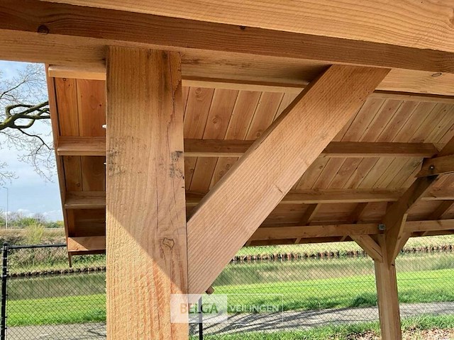 Kapschuur douglas 779x360x325cm bxdxh in cm - afbeelding 6 van  18