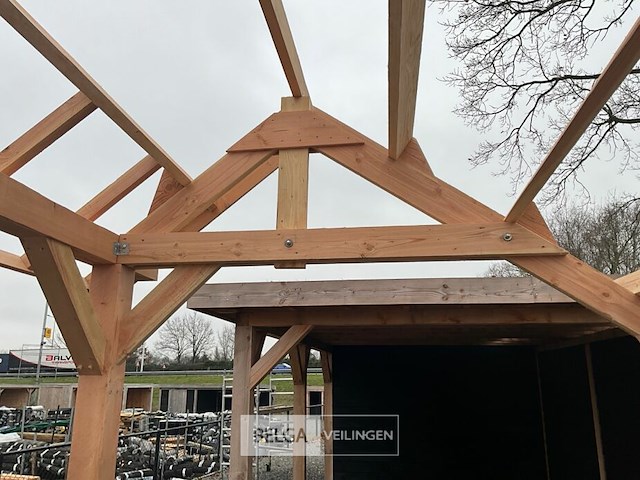 Kapschuur douglas 810x460x325cm bxdxh in cm - afbeelding 11 van  14