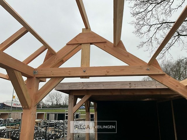 Kapschuur douglas 810x460x325cm bxdxh in cm - afbeelding 11 van  14
