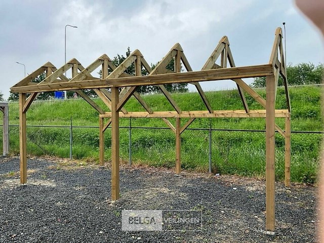 Kapschuur douglas 810x460x325cm bxdxh in cm - afbeelding 13 van  14