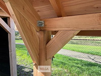 Kapschuur douglas 890x460x325cm bxdxh in cm - afbeelding 2 van  18