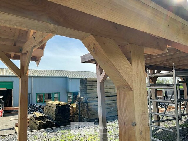 Kapschuur douglas 890x460x325cm bxdxh in cm - afbeelding 8 van  18