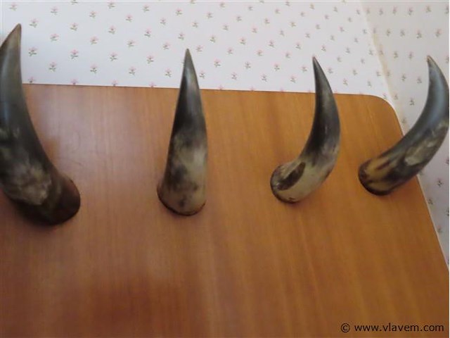 Kapstok met hoorns - afbeelding 2 van  3